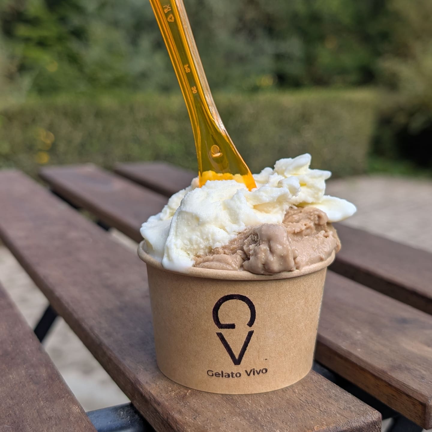 Becher mit Kaffee- und Fior-di-Latte-Gelato und dem Gelato-Vivo-Logo auf einem Holztisch